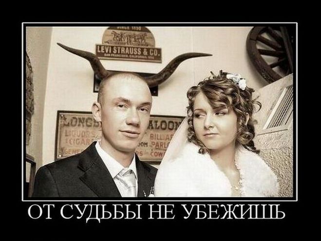 Комедия ошибок_ особенности поведения рогоносцев и_0.jpg